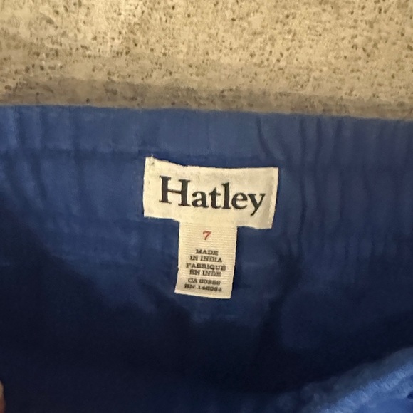 Hatley Blue and Gray Kids Hoodie and Jogger Set - Picture 6 of 6